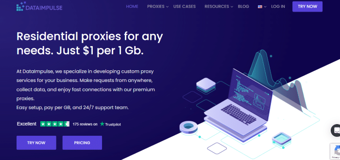 dataimpulse website